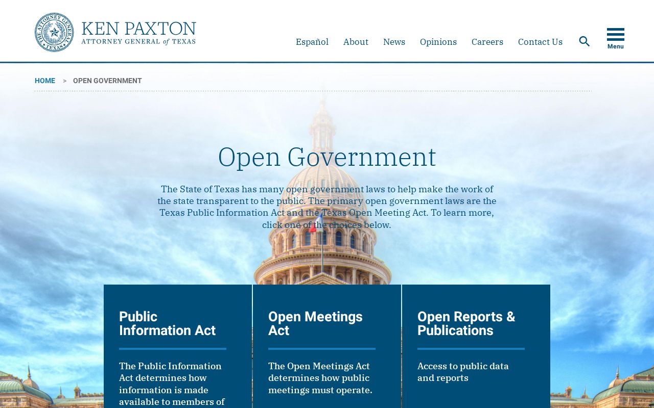Titus County criminal record Texas public access guidance